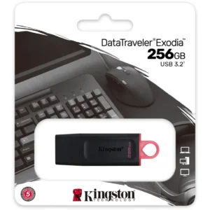 KINGSTON DTX/256GB USB 3.2